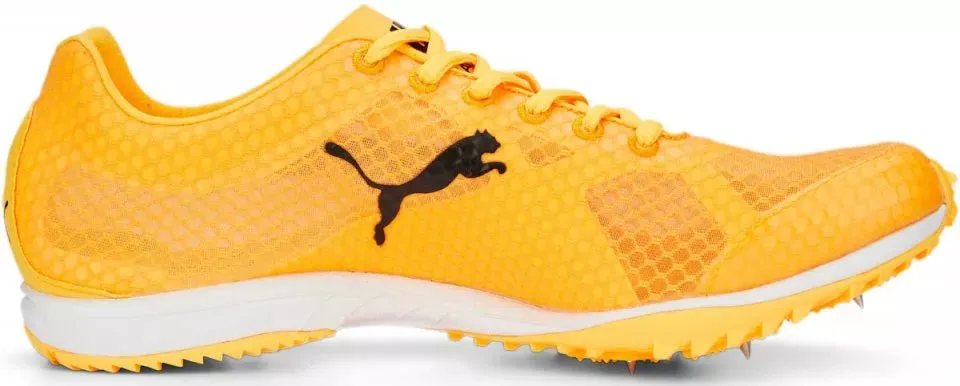 Puma EvoSPEED Haraka 7